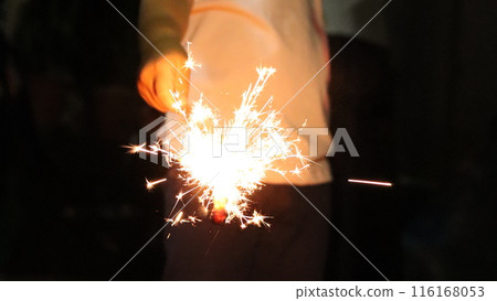 Fireworks Fireworks 116168053
