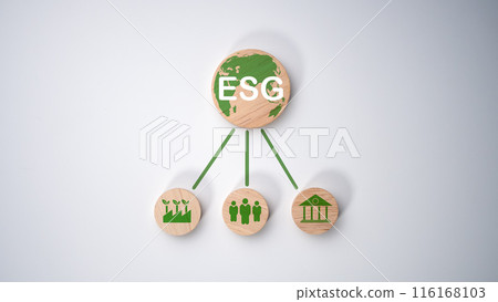 A circular wooden board with the abbreviation ESG printed on a light white background, ESG concepts for sustainable environment, society and governance Businesses are environmentally responsible. 116168103