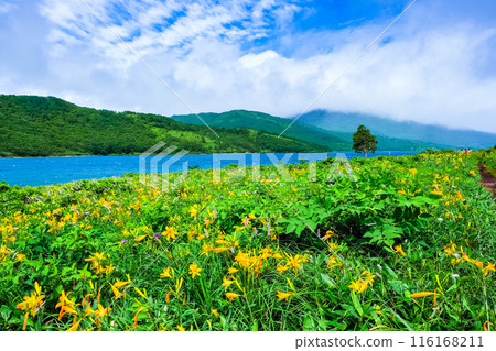 初夏花園與野里湖 116168211