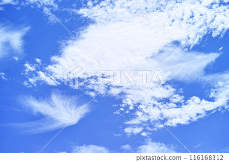 藍色的天空和雲圖像 藍色的天空和雲圖像 116168312