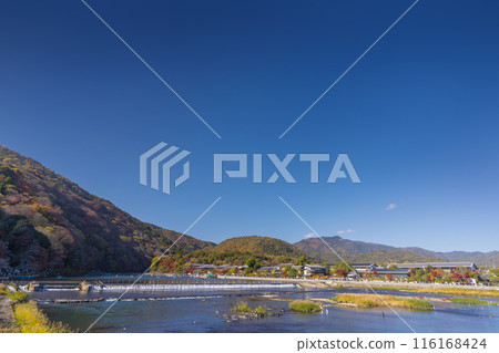 京都嵐山，秋葉，從渡月橋眺望 116168424