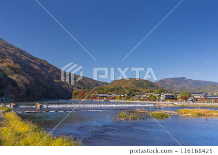 京都嵐山,秋葉,從渡月橋眺望 京都嵐山,秋葉,從渡月橋眺望 116168425