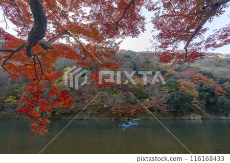 Kyoto Arashiyama Autumn leaves Katsura River area Rankyo Kyoto Arashiyama Autumn leaves Katsura River area Rankyo 116168433