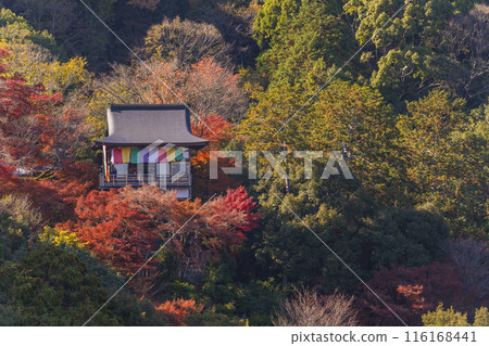 嵐山大彥千光寺秋葉 116168441