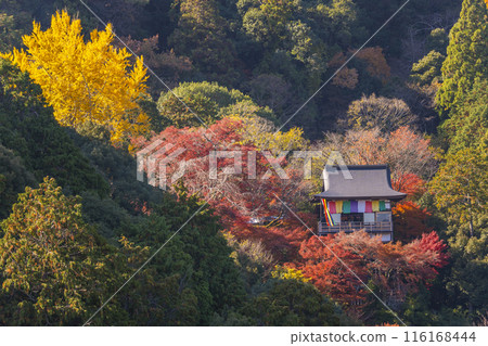嵐山大彥千光寺秋葉 嵐山大彥千光寺秋葉 116168444