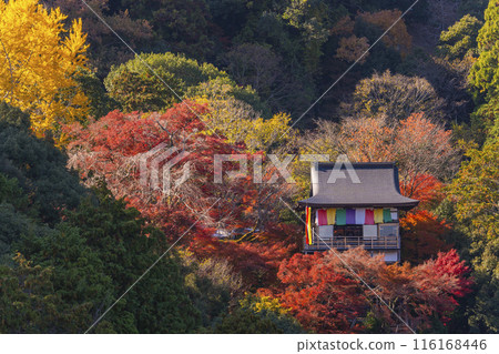 嵐山大彥千光寺秋葉 嵐山大彥千光寺秋葉 116168446