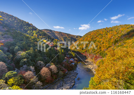 從嵐山公園觀景台欣賞京都嵐峽的紅葉 116168447
