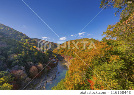從嵐山公園觀景台欣賞京都嵐峽的紅葉 從嵐山公園觀景台欣賞京都嵐峽的紅葉 116168448