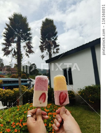 colorful popsicles on the garden colorful popsicles on the garden 116168851