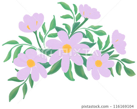 Purple flowers 116169104