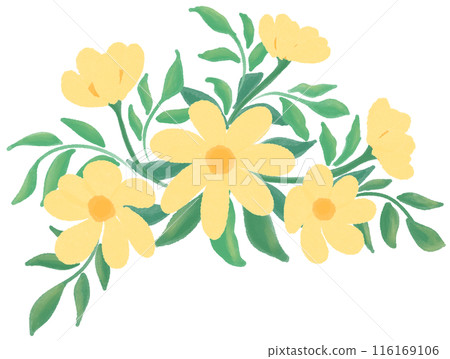 yellow flowers yellow flowers 116169106