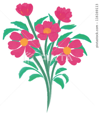 Dark pink flowers 116169113