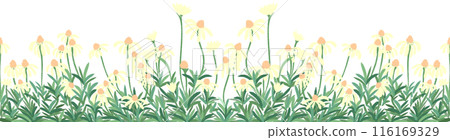 row of yellow flowers row of yellow flowers 116169329