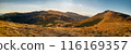 Golden Autumn Trekking Path on Mount Hoverla in Carpathians 116169357
