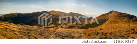 Golden Autumn Trekking Path on Mount Hoverla in Carpathians 116169357