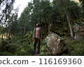 Hiker Exploring Lush Forest in Carpathian Mountains 116169360