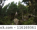 Man Standing on Rock in Forest: Nature Adventure and Exploration 116169361