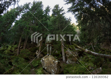 Fisheye View of Hiker in Dense Carpathian Forest 116169362
