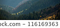 Serene Mountain Valley With Pine Forests And Distant Cottage 116169363