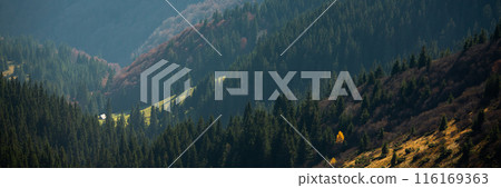 Serene Mountain Valley With Pine Forests And Distant Cottage Serene Mountain Valley With Pine Forests And Distant Cottage 116169363
