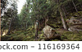 Man Hiking in Dense Forest: Adventure and Nature Exploration 116169364