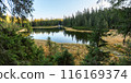 Tranquil Maricheyka Lake in Pine Forest, Carpathian Mountains 116169374
