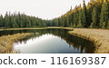Tranquil Maricheyka Lake in Carpathian Mountain Forest 116169387