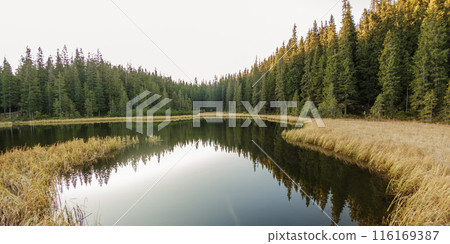 Tranquil Maricheyka Lake in Carpathian Mountain Forest 116169387