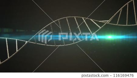 Image of spinning dna structure and glowing blue light spot against black background Image of spinning dna structure and glowing blue light spot against black background 116169476
