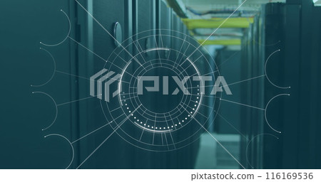 Image of data processing with connections over computer servers 116169536
