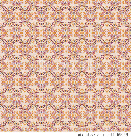 Detailed Floral Paisley Pattern Detailed Floral Paisley Pattern 116169659