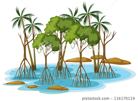 Mangrove Forest with Palm Trees 116170119