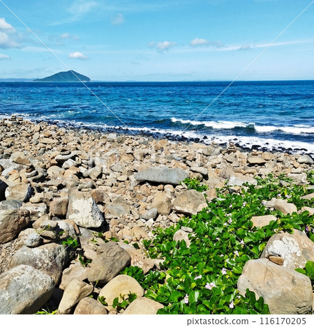 Kuroiso Coast with its rugged rock formations - Itoshima 116170205