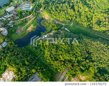 Aerial view Drone camera top view rainforest trees ecology with healthy environment concept and summer background,Green environment background Aerial view Drone camera top view rainforest trees ecology with healthy environment concept and summer background,Green environment background 116170272