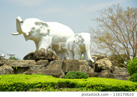 Very beautiful scenery in Chiang Mai, Thailand 116170620