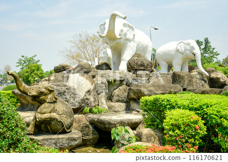 Very beautiful scenery in Chiang Mai, Thailand 116170621