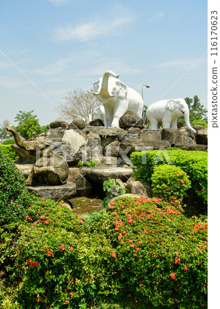 Very beautiful scenery in Chiang Mai, Thailand 116170623