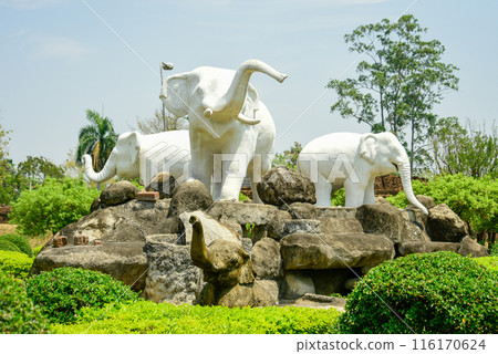 Very beautiful scenery in Chiang Mai, Thailand 116170624