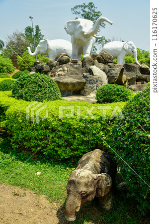 Very beautiful scenery in Chiang Mai, Thailand 116170625