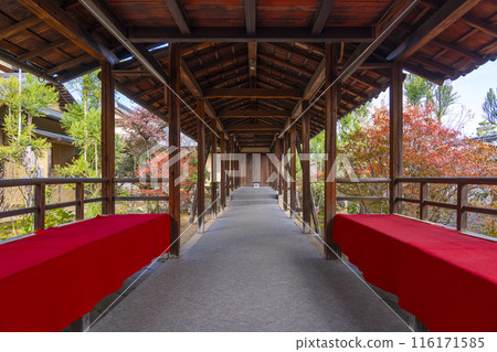 大德寺分寺、總軒院、走廊，轎子上載著信長信長的雕像 116171585