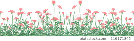 row of red flowers row of red flowers 116171845