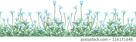 row of blue flowers 116171846