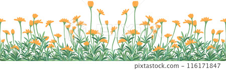 row of orange 116171847
