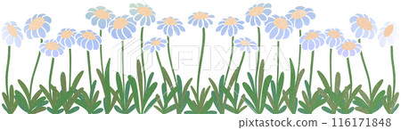 row of blue flowers 116171848