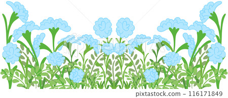 row of blue flowers 116171849