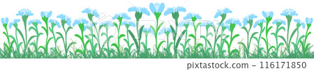 row of blue flowers row of blue flowers 116171850