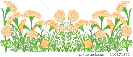 row of orange row of orange 116171852