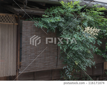 東京神樂坂後巷風光 116171874