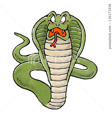 Cobra Cobra 116171936