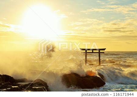 Oarai Isosaki Shrine, Ibaraki Prefecture Torii gate and wave spray 116171944